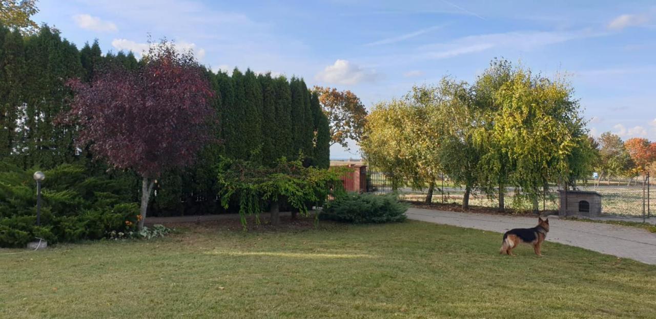 Bialowolskie Wzgorze Zamość Exteriör bild