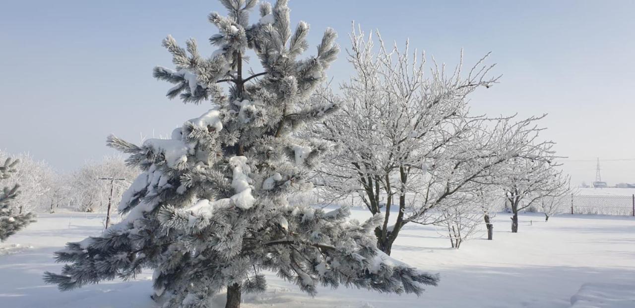 Bialowolskie Wzgorze Zamość Exteriör bild