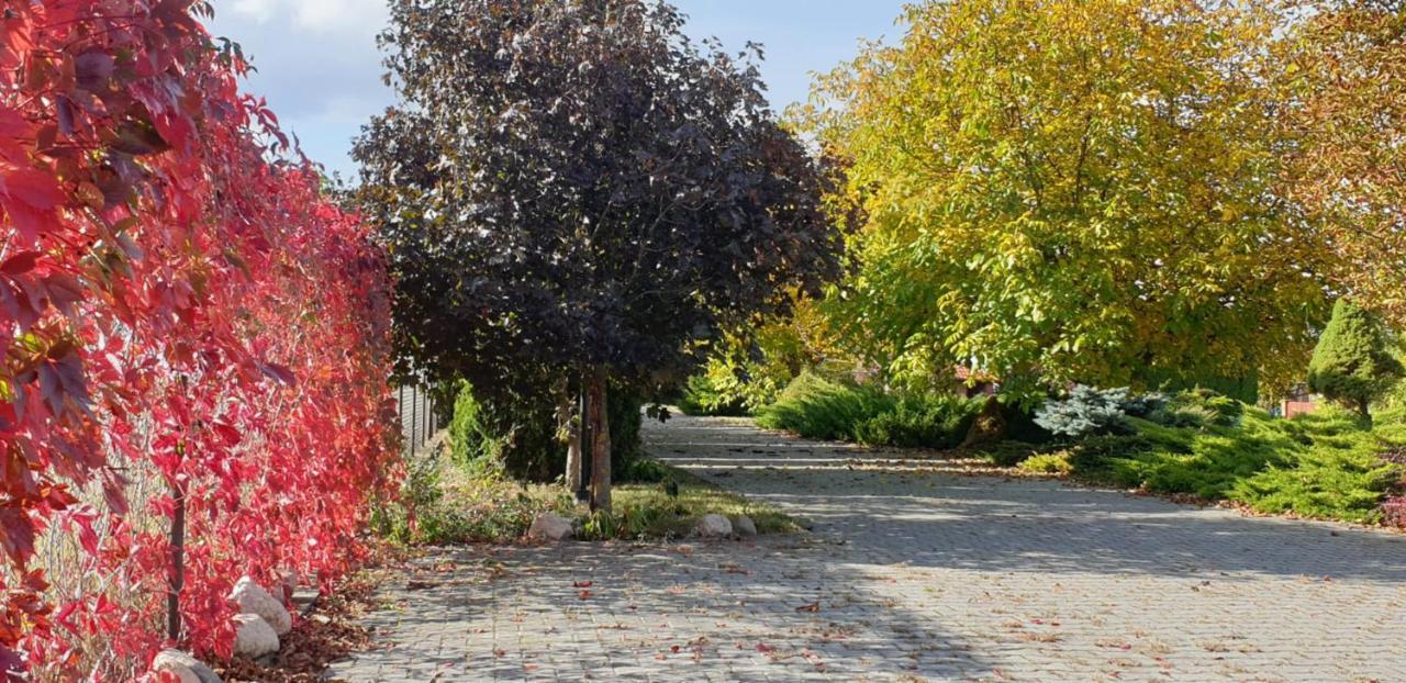 Bialowolskie Wzgorze Zamość Exteriör bild